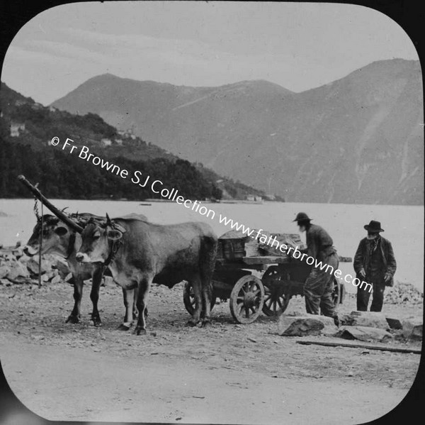 OXEN CART AT LAKESIDE